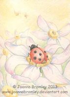 First Ladybug of Spring